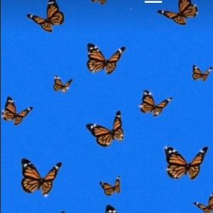 Meet your Posher, Naila